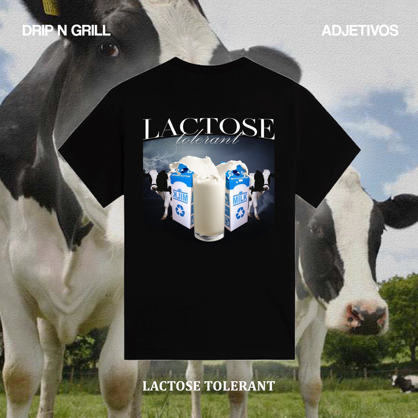 LACTOSE TOLERANT