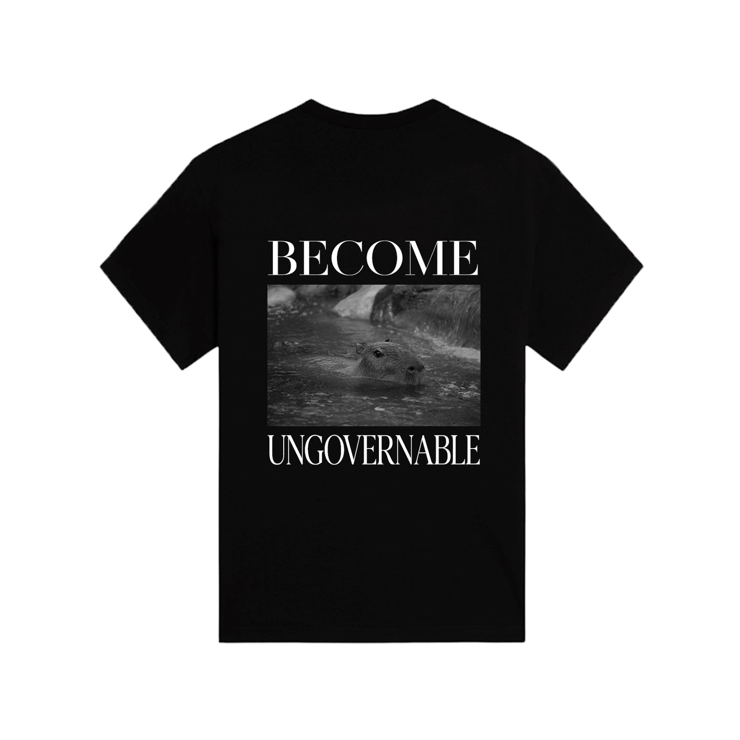 BECOME UNGOVERNABLE