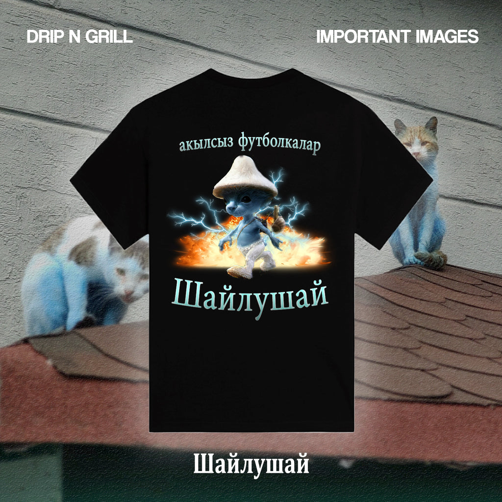шайлушай